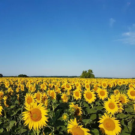 Langlade Estate Nyaraló Montboyer